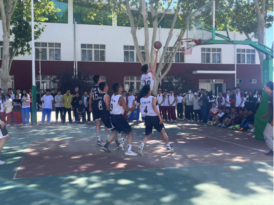 �����ܰɡ����ꡱ������2024����Сѧ���������������Բ������