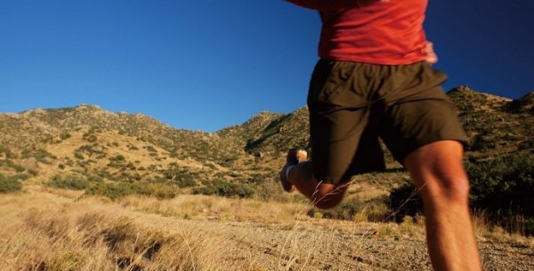 �ܲ���ϥ������