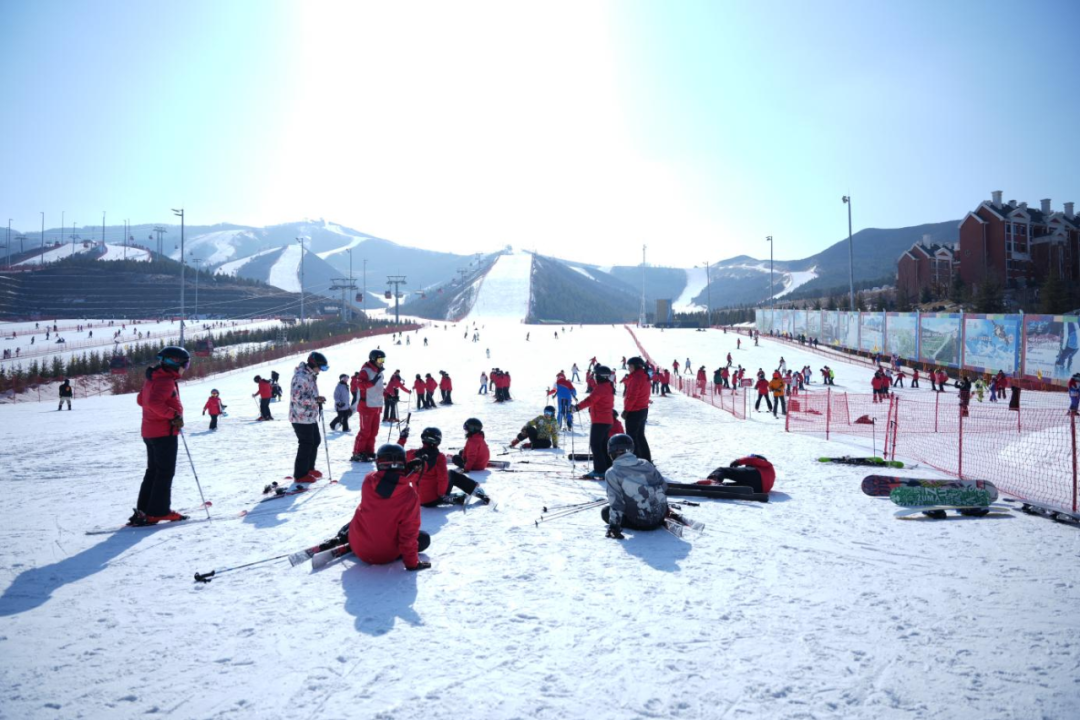 �ӱ�ʡ��ѩ�˶���������ʡֱ���š�ʡ����ҵ������ϯ��ѩ��ѵԲ������