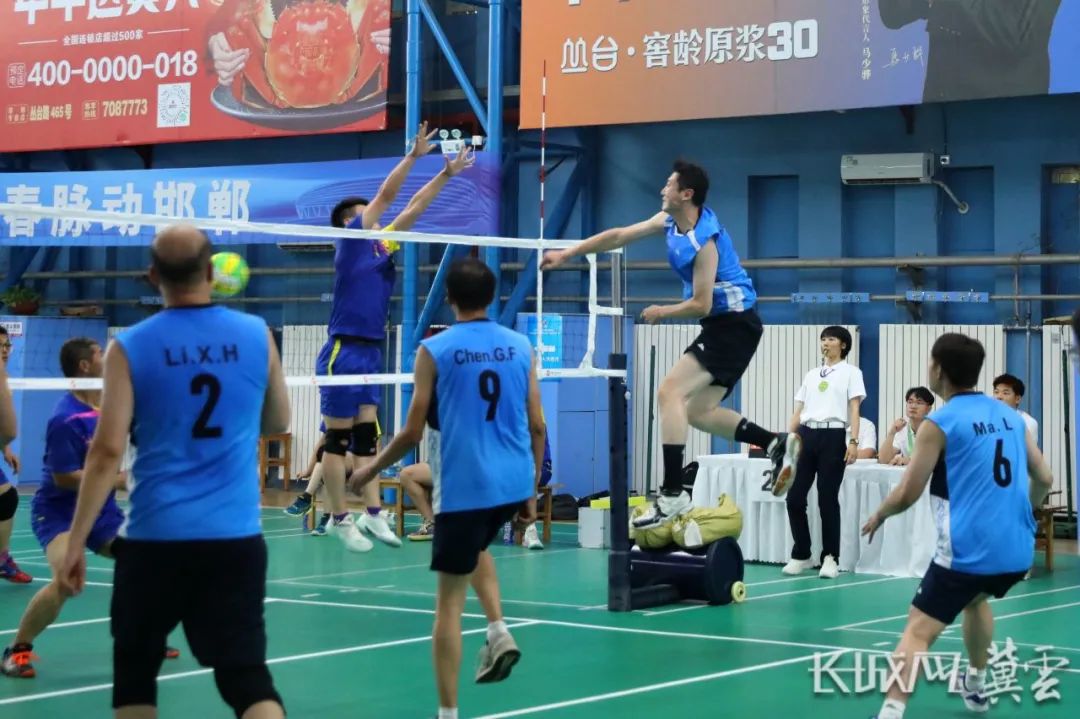 Ⱥ�����������������