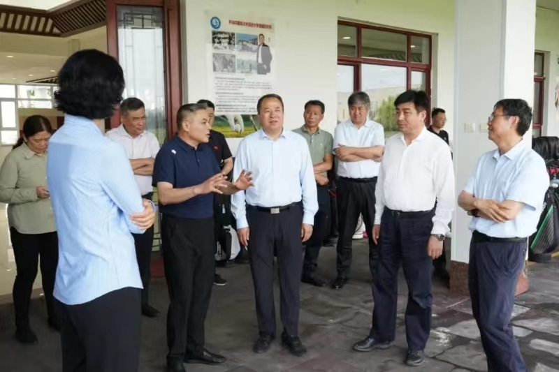 <b>����г����˵�Ӱ
���ӱ�����ѧϰ</b>