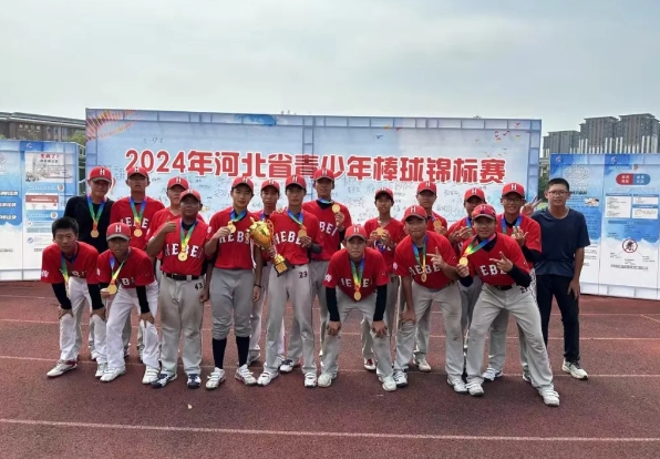 2024��ӱ�ʡ��������������Բ����Ļ