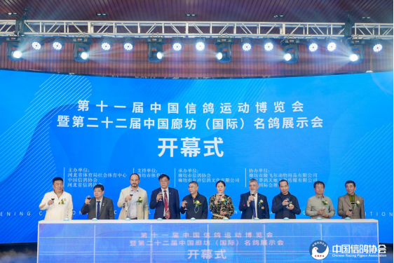 <b>��ʮһ���й��Ÿ��˶��������ߵڶ�ʮ�����й��ȷ������ʣ�����չʾ��ɹ�����</b>