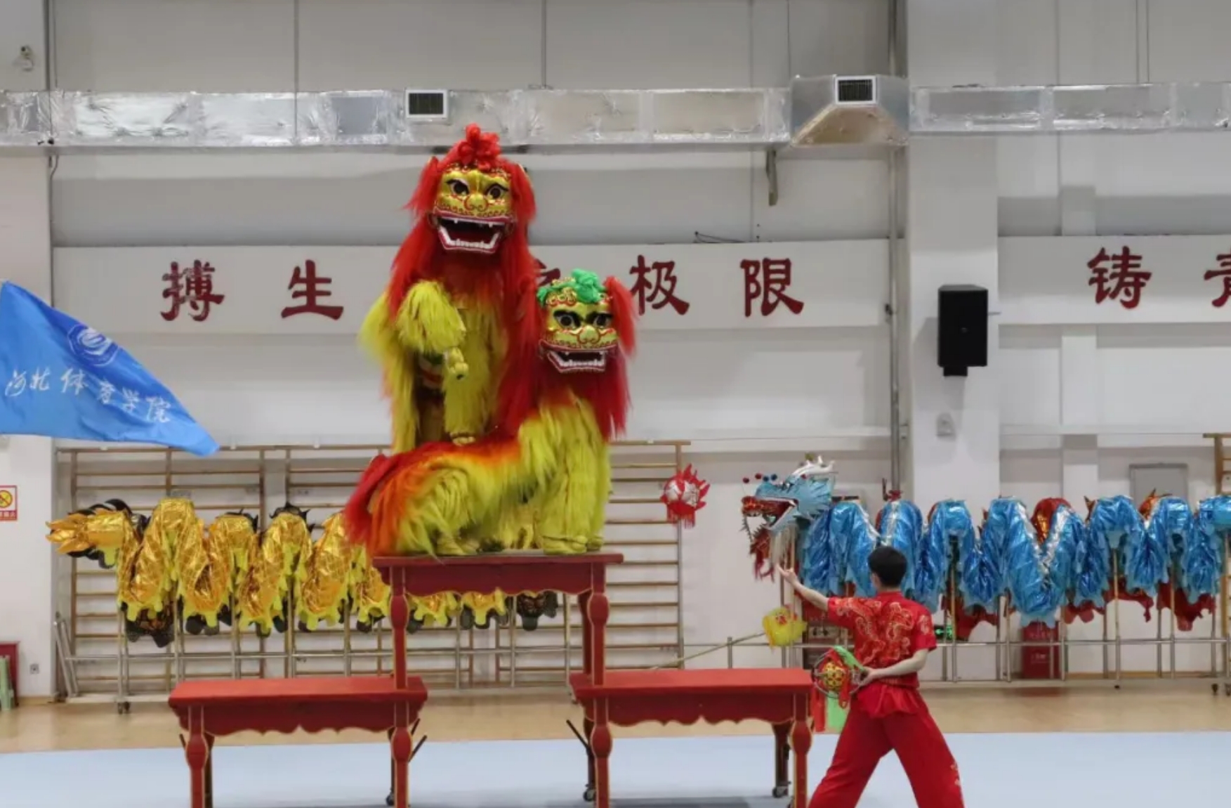 2024��ӱ�ʡȫ��������������ʨ�����ڳ����˵�Ӱ
����